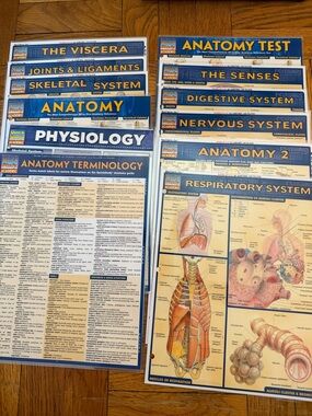 Quick Study Academic Body Systems
